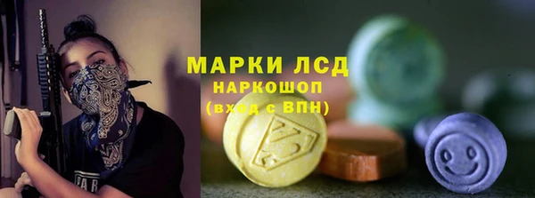 сатива Зеленокумск