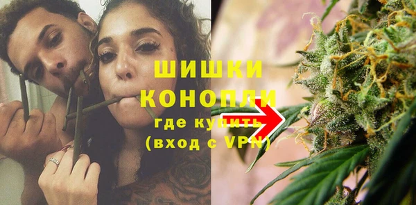 сатива Зеленокумск