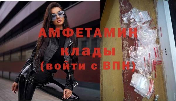 сатива Зеленокумск