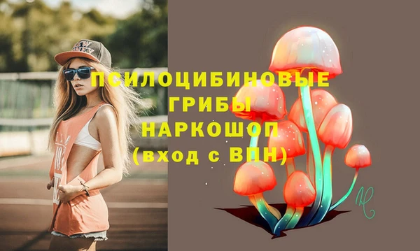 сатива Зеленокумск