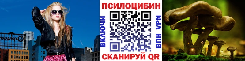 Псилоцибиновые грибы Psilocybine cubensis  Иркутск 