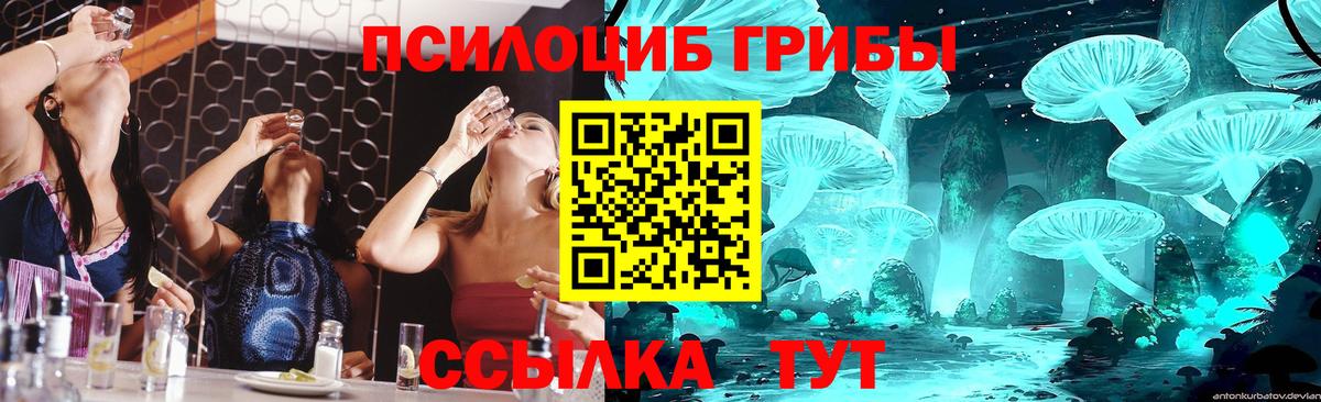 Иркутск  Галлюциногенные грибы прущие грибы  Вход с VPN 